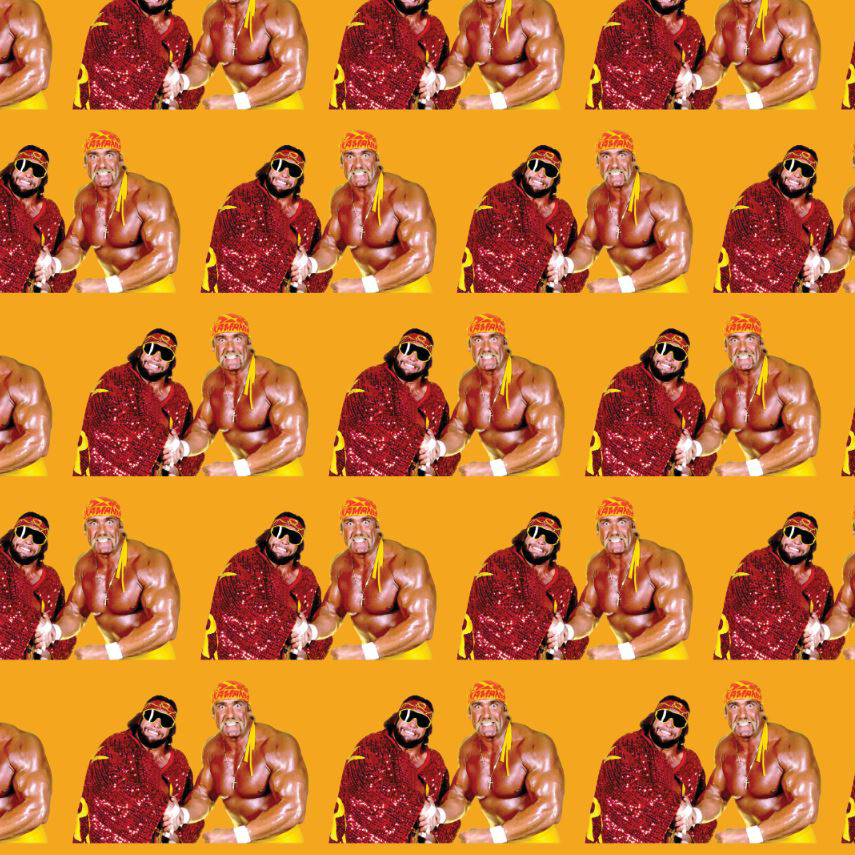 Macho Man & Hulk Hogan