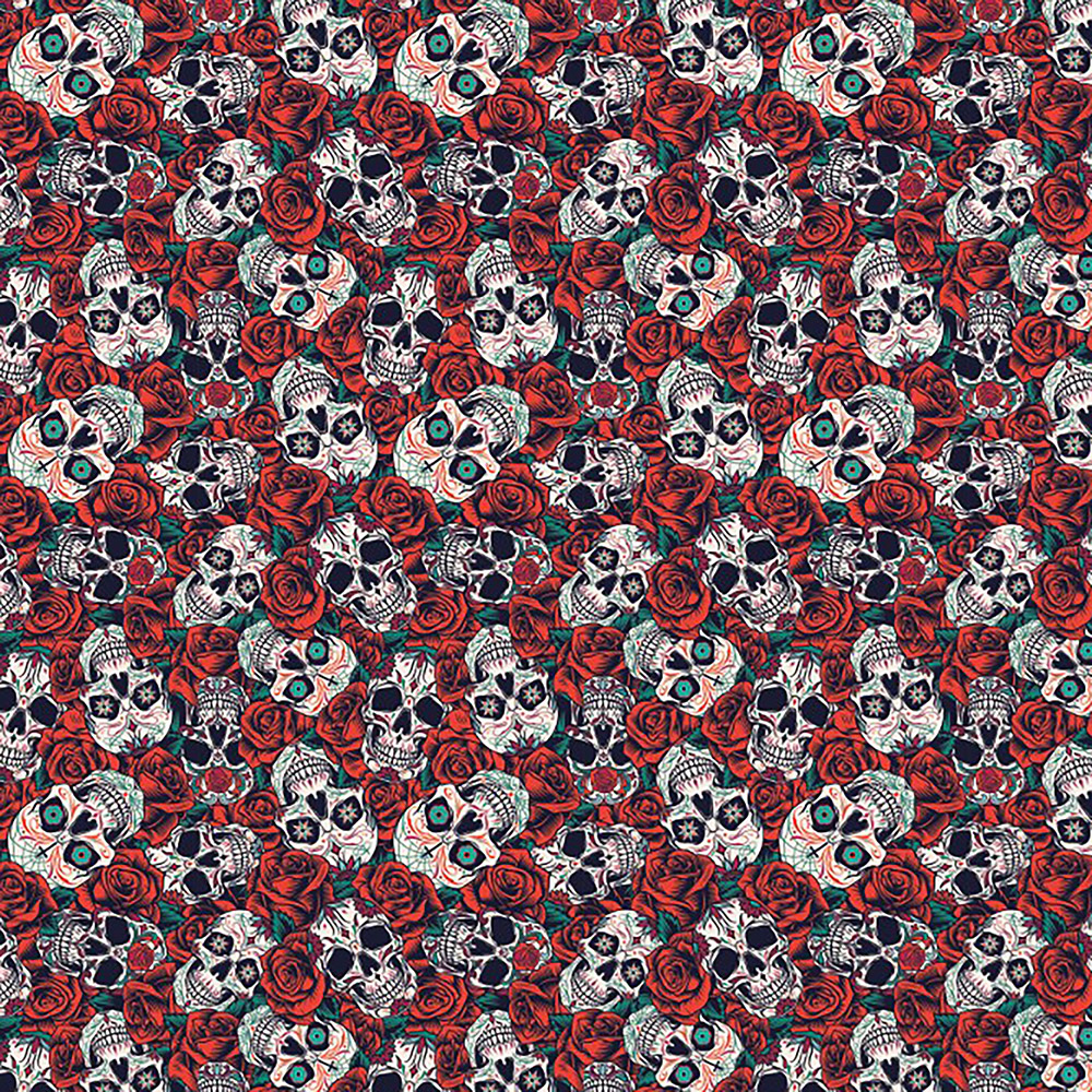 Skulls n' Roses 