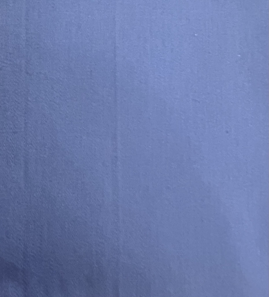 The Blue Poplin